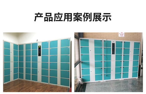 商超條碼指紋電子存包柜學校案例 景區指紋人臉識別儲物柜廠家直銷