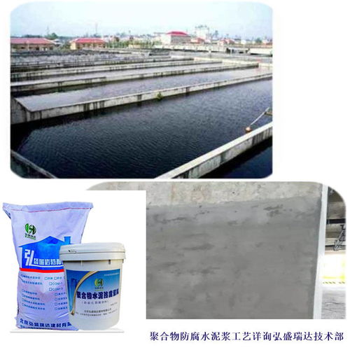 巴林左旗高分子聚合物防腐漿料 民用建筑防腐優(yōu)選材料及其市場詢價指南